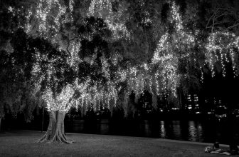(호주) 삶의 의미가 없다는 게 무슨 뜻일까?