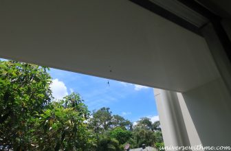 (호주) 브리즈번에서 끔찍하고 이상하고 신기했던 나의 룸메이트