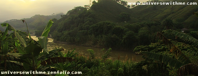 [12/05/26~06/03 (D+277) Colombia/Medellin-Pereira] Bicycle, Sugar Cane, Bamboo and Coffee