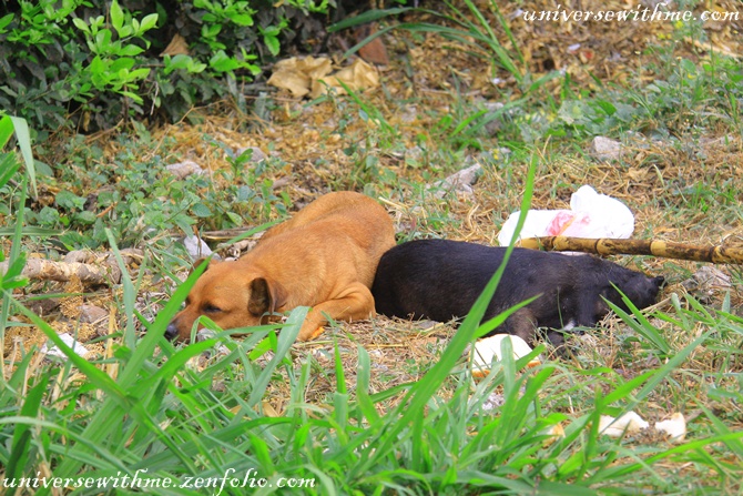 [12/06/03~10 (D+284) Colombia/Pereira-Cali] I will wait for you.