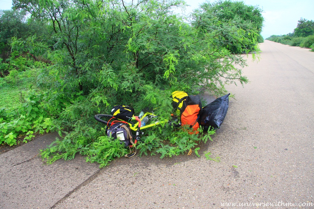 (Bolivia) It starts cycling with hot weather and too many mosquitoes.