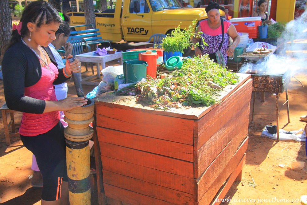 (Paraguay) The south of Paraguay is different from the north of Paraguay.