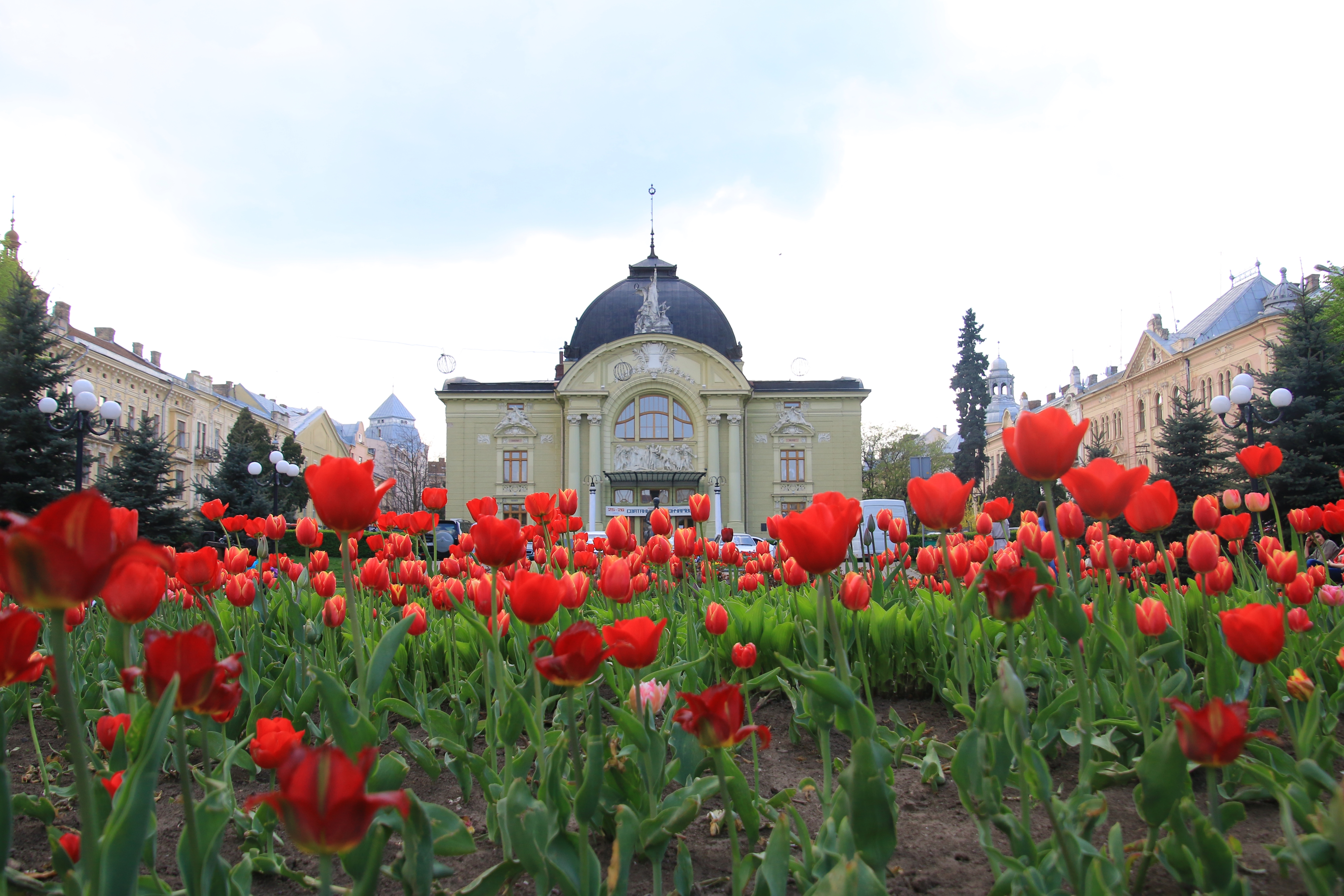 (Ukraine) Beautiful flowers are everywhere.