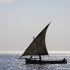 (Tanzania) Beautiful Island with Beautiful friends