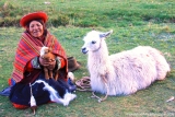 (Peru) I have suffered from altitude sickness in Cusco, historic capital of the Inca Empire