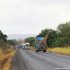 (Tanzania) Passing between Baobab tree valley.