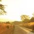 (Zambia) Can you live in the bush which doesn’t have electronic?